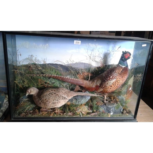 535 - Cased Taxidermy Study of a Pair of Pheasants