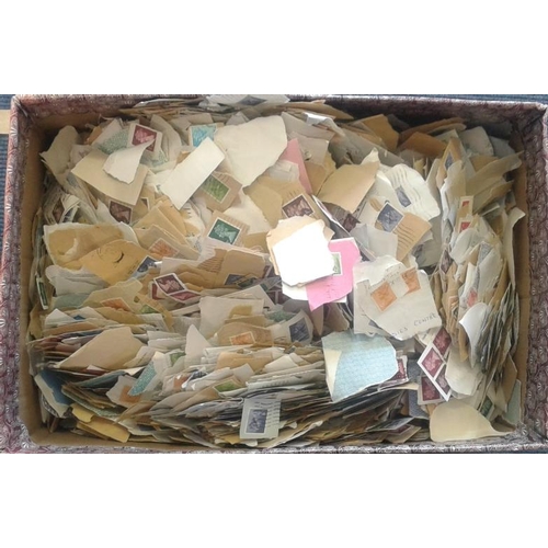 36 - Large Box of Postage Stamps