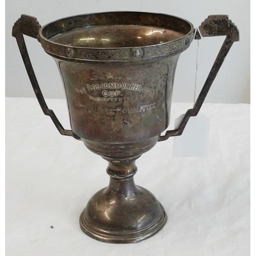 511 - Irish Silver Trophy Cup 
