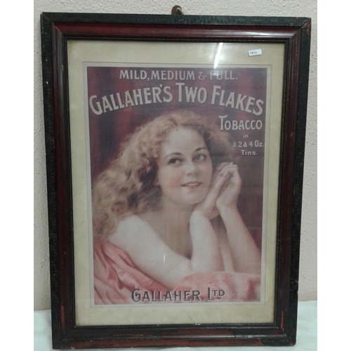239 - 'Gallagher's Two Flakes Tobacco' Advertising Sign - c. 20 x 26ins