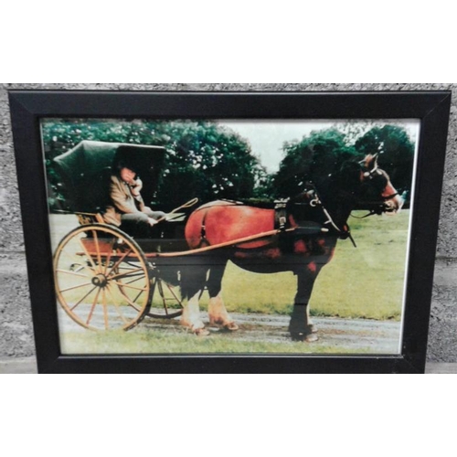 250 - Framed Photograph of Horse & Carriage - Overall c. 13 x 10ins