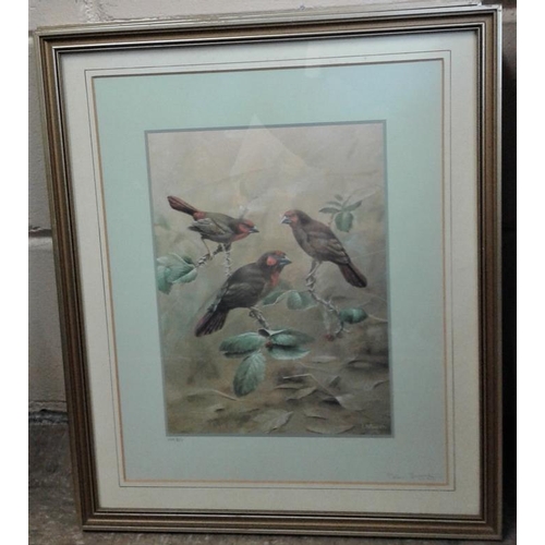 369 - Set of Four Bird Interest Pictures with Gilt Frames, c.17 x 20in