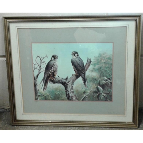 369 - Set of Four Bird Interest Pictures with Gilt Frames, c.17 x 20in