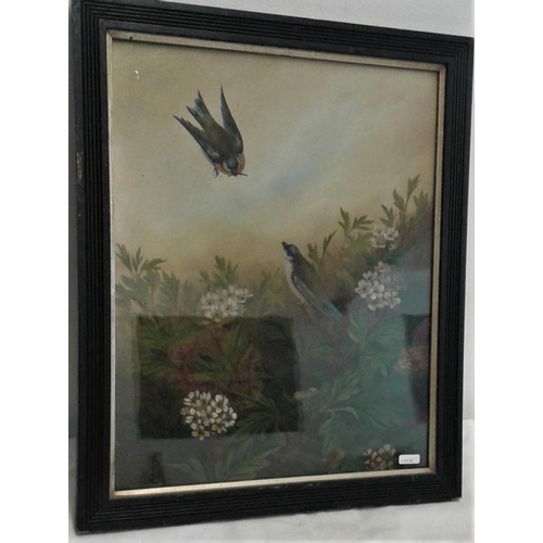372 - Painting of 2 Swallows - Overall c. 16 x 20ins
