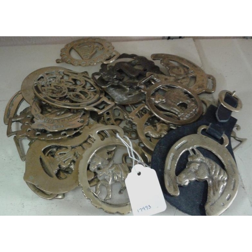 591 - Collection of Horse Brasses