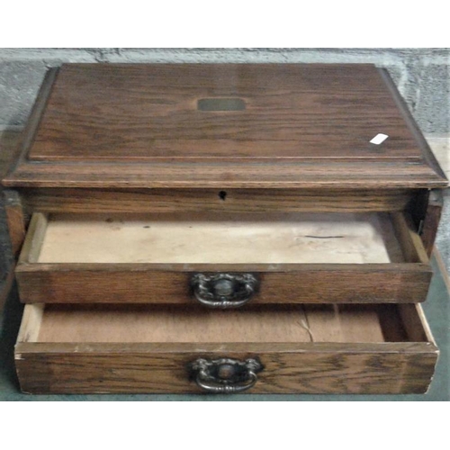 773 - Victorian Mahogany Cutlery/Collector's Cabinet (brass plaque engraved W J L Guy) and an oak cutlery ... 