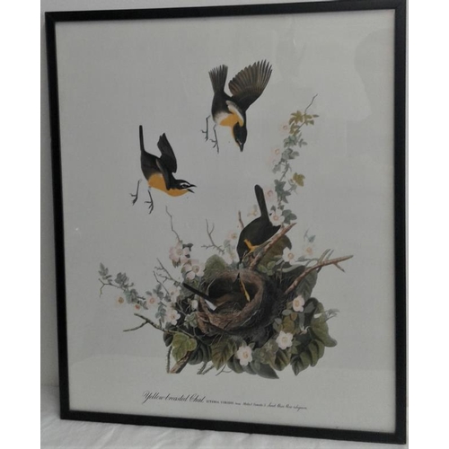 778 - Three Framed Prints of Various Birds from Paintings by John James Audubon from 'Birds of America'