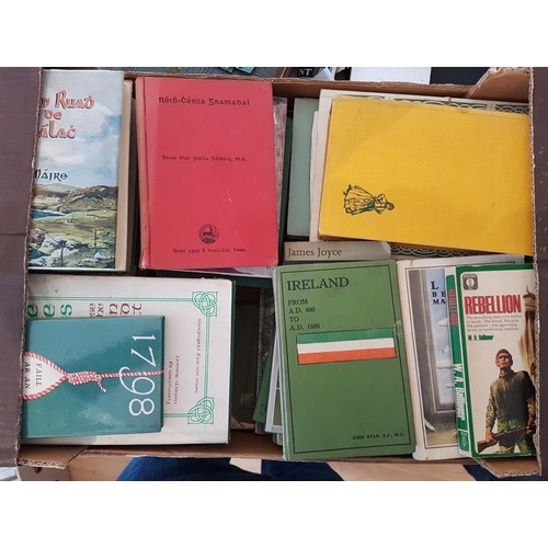 9 - Two Boxes of Mostly Irish Language Interest Books