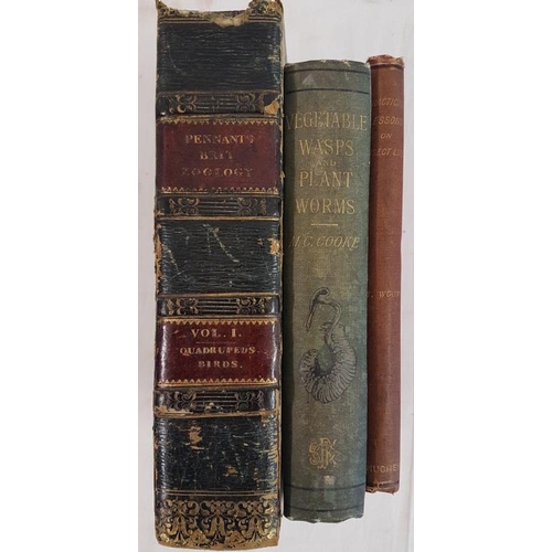 71 - British Zoology, Dublin 1818 by Thomas Pennant with plates and half calf binding, Practical Lessons ... 