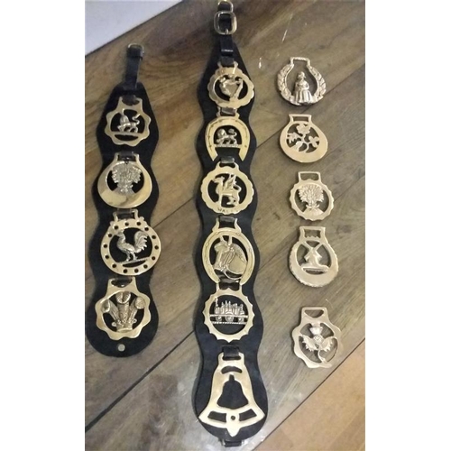 19 - Collection of Horse Brasses on Leather Straps