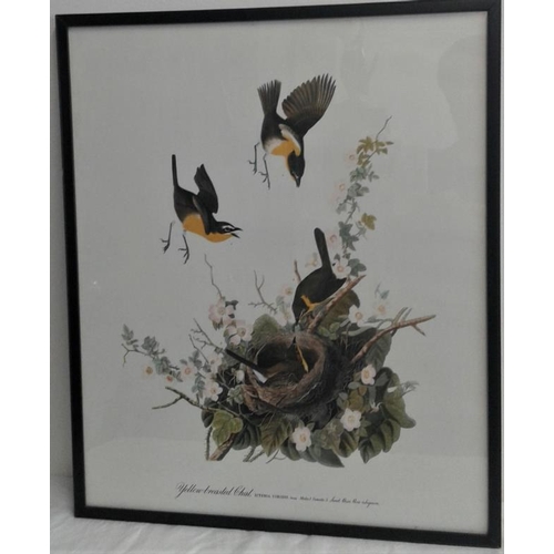 92 - Three Framed Prints of Various Birds from Paintings by John James Audubon from 'Birds of America', c... 