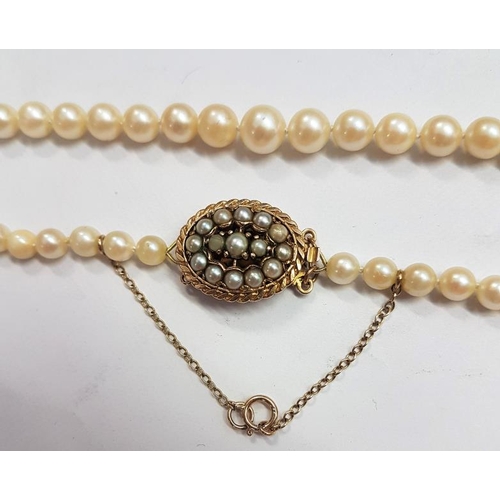 333 - Victorian String of Pearls with a 9ct. Gold clasp