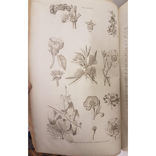 565 - The Gardener's Botanical Dictionary by Philip Miller 1807, 2 vols, illustrated large folios
