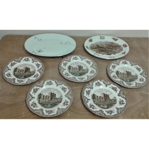 626 - Set of Five Castle Plates, Pheasant Meat Dish and a Porcelain Turkey Plate