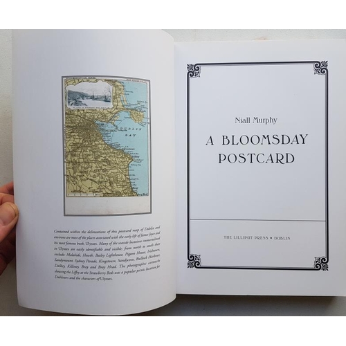 9 - Niall Murphy 'A Bloomsday Postcard' 2004. Illustrated in colour