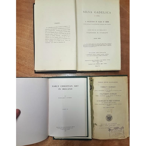 597 - Three Irish Glossaries 1862, Silva Gadelica and one other (3)