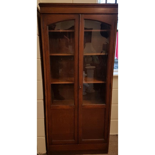 373 - Edwardian Mahogany Case Two Door Bookcase - 30 x 66ins