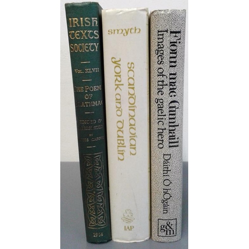 513 - Fionn Mac Cumhaill, Images of the Gaelic hero. Dáithí O hOgáin. Gill and Macmil... 