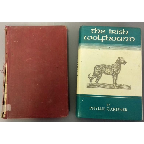 590 - 'The Irish Wolfhound' and 'Sporting Terriers'