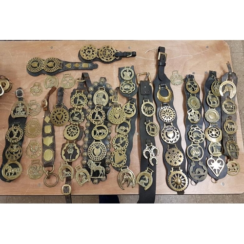 206 - Collection of Horse Brasses
