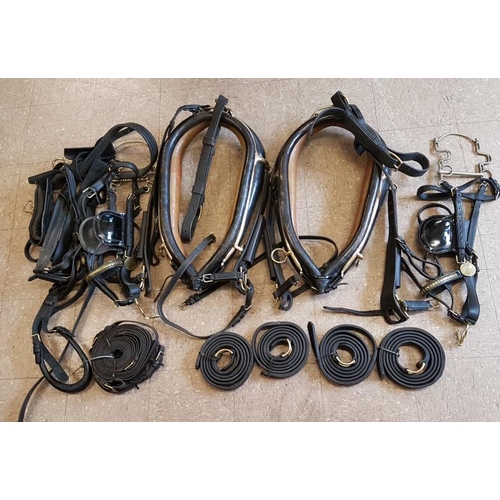 278 - Excellent Set of Double Driving Harness