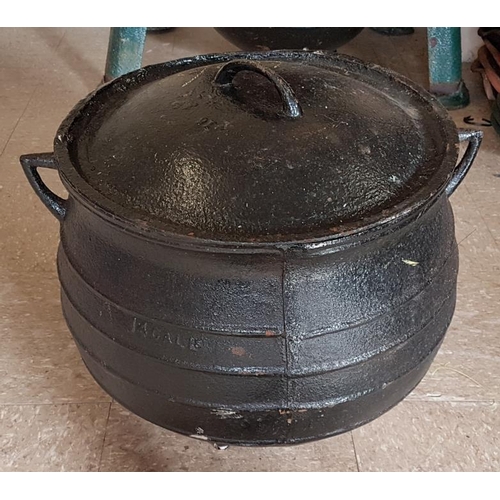 66A - 12 Gallon Traditional Cast Iron Skillet Pot
