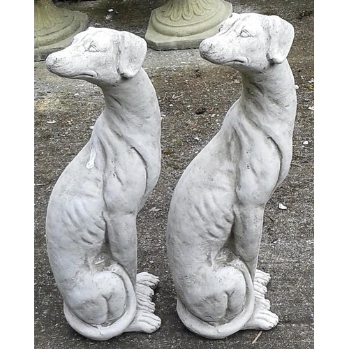 429 - Pair of Composite Stone Whippet Greyhounds - 21ins tall