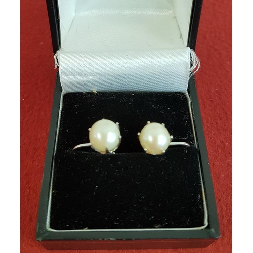 543 - 14ct White Gold and Pearl Earrings