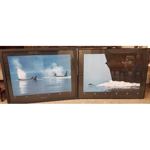 55 - Two Large Framed Prints - Orca and Evolution