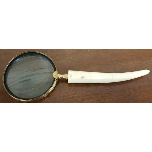 299 - Magnifying Glass