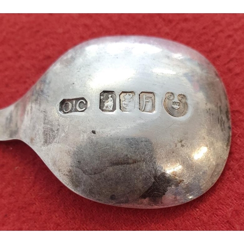 399 - Irish Celtic Pattern Silver Caddy Spoon with Special Commemorative Mark for 1973 (Ireland joined the... 