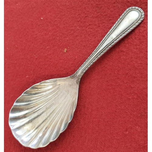 403 - Irish Shell Pattern Silver Caddy Spoon with Special Commemorative Mark for 1973 (Ireland joined the ... 