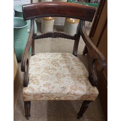 621 - William IV Mahogany Carver Chair with Cream Patterned Seat