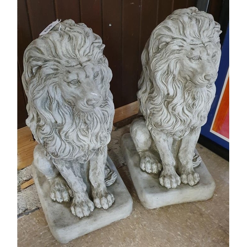 459 - Pair of Stone Lions - 23ins tall