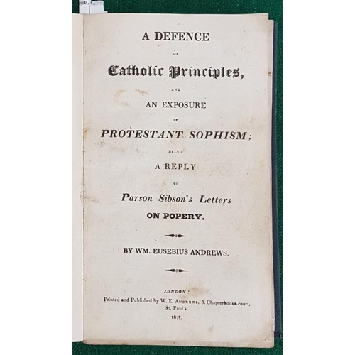 153 - Catholic Tracts. William Eusebius, Shuttleworth etc. 18 individual scarce pamphlets on contemporary ... 