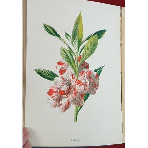 260 - F. Edward Hulme, 'Familiar Garden Flowers' Series 1, 3 and 4. 40 coloured plates in each volume... 