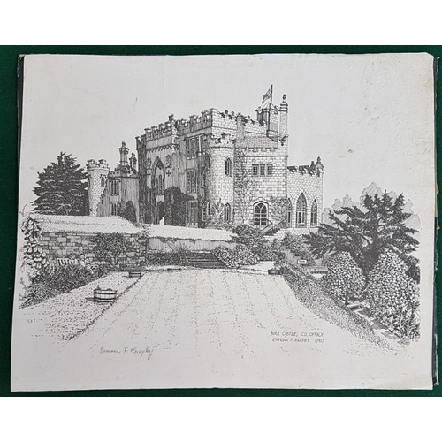 600 - Signed drawing of Birr Castle by Eamonn F. Murphy with “United Ireland” colour print of Irish politi... 