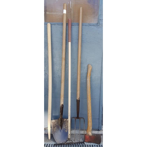 37 - Bundle of Various Garden Tools
