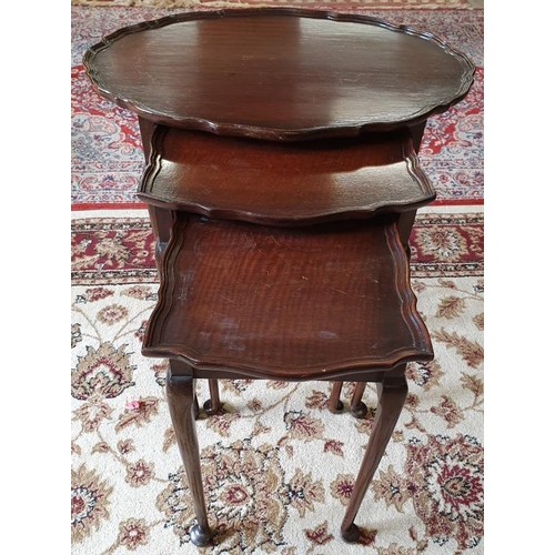 509 - Edwardian Mahogany Nest of Three Tables with pie-crust top and cabriole legs