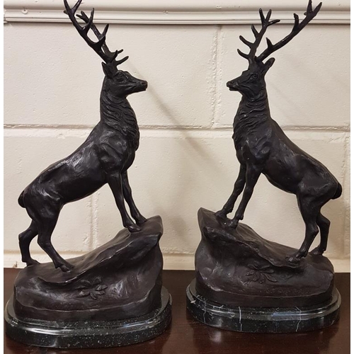 520 - Pair of Bronze Stags - c. 17ins tall
