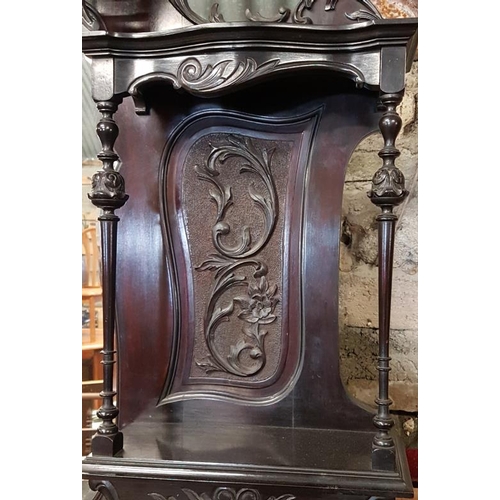 13 - Highly Decorative Carved and Ebonised Display Cabinet with bevelled mirror panels, c.54 x 96in