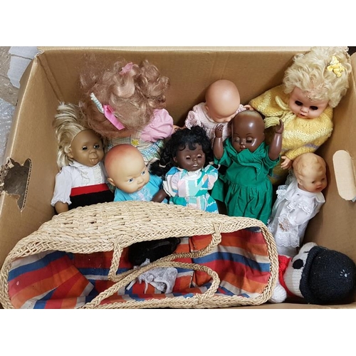 21 - Collection of Various Dolls