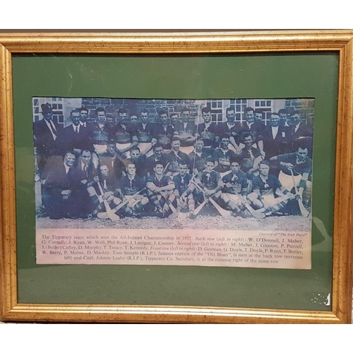 114 - Tipperary Hurling Team Picture (1937) - c. 22 x 18ins