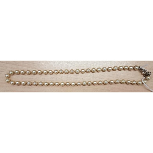 171 - Pearl Necklace with Silver (925) Clasp and Safety Chain