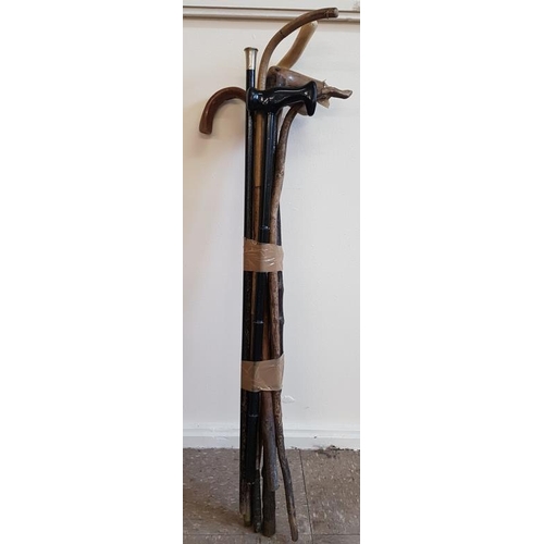 357 - Collection of Various Walking Sticks, One with Silver Top