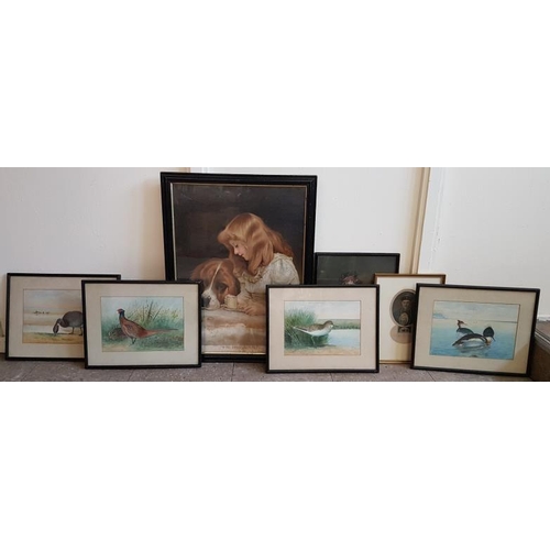 364 - Six Small Framed Prints and One Larger Print