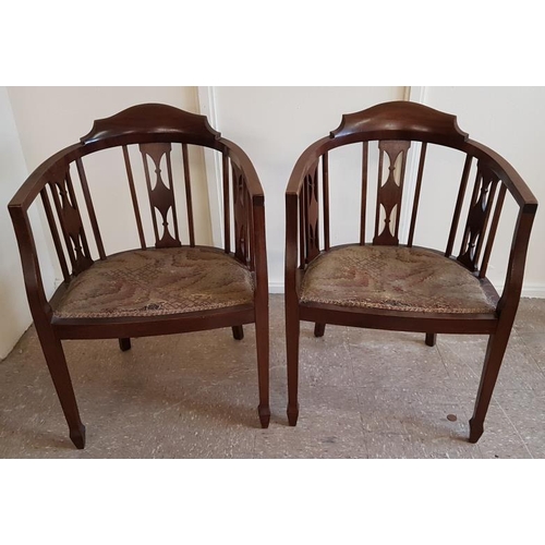 482 - Pair of Edwardian Mahogany Tub Chairs