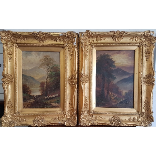 371 - F Allen, Pair of 19th Century Oil on Canvas Landscape Paintings with Sheep, in original decorative g... 