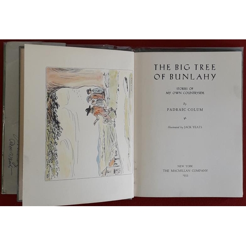 151 - Padraic Colum 'The Big Tree of Bunlahy' 1933, 1st Edition. Illustrated in colour by Jack B. Yeats. L... 