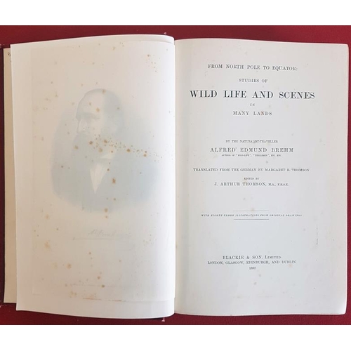 197 - A. E. Bream 'From North Pole to Equator' 1897. 1st Edition. Numerous illustrations. Fine Original re... 